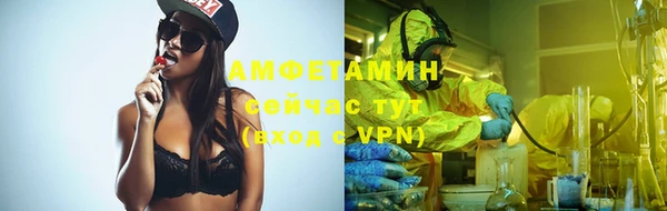 шишки Алексеевка