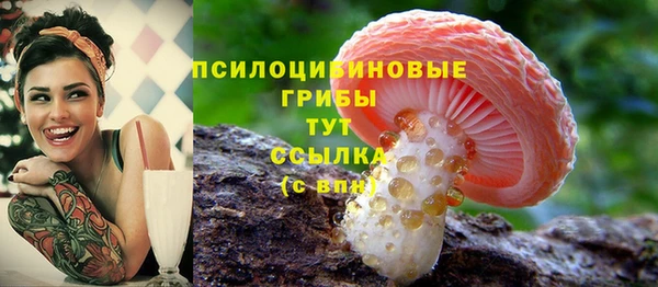 шишки Алексеевка