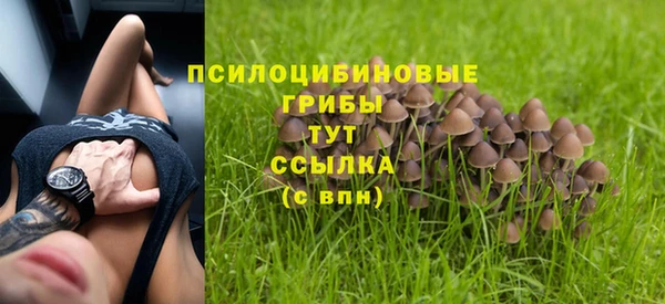 герыч Алексин
