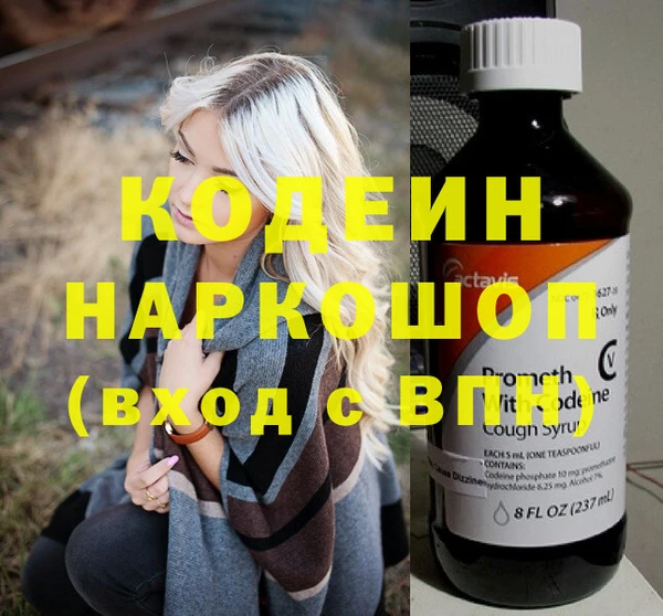 шишки Абаза