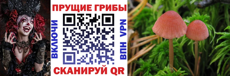 Псилоцибиновые грибы GOLDEN TEACHER  Алексин 